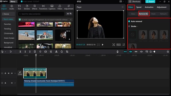 remove the image background in capcut pc
